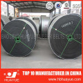 Heavy Duty Acid y Alkali &amp; Chemical Conistantor Belt Belt